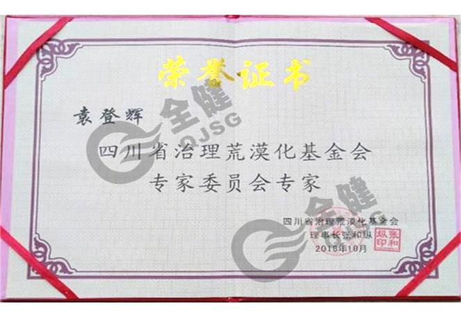 荣誉证书