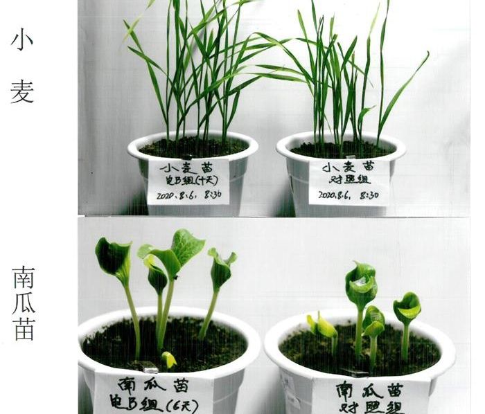 划时代意义的电、磁、声、波技术工程 是推动农林业发展的主动力